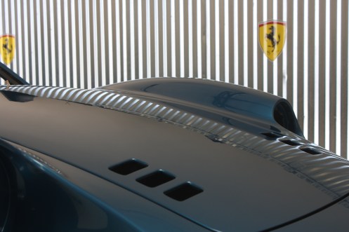 Blue Dino "Barn Find" IMG_1567